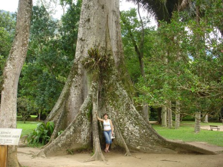 Adriana junto a base da grande sumaúma que habita o Jardim Botânico do Rio de Janeiro, também conhecida como árvore do Tom Jobim.